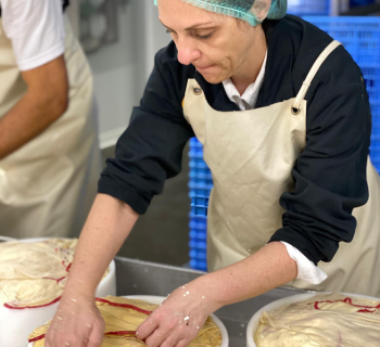 Galeria de imagem sobre a guria do queijo