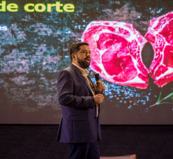 Galeria de imagem sobre o cara da carne